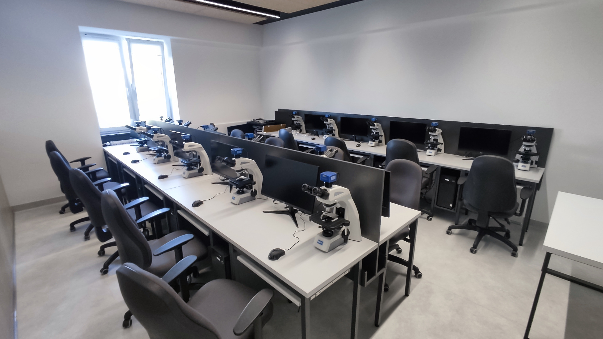 Sala laboratoryjna z rzędami stanowisk wyposażonych w mikroskopy i monitory, oświetlona przez okno i lampy sufitowe.