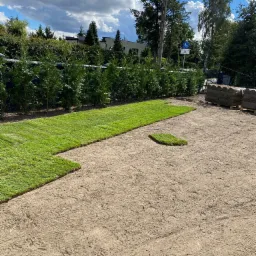 Rozkładanie rolek świeżej, soczystej trawy na przygotowanym podłożu w ogrodzie, widoczne palety z pozostałymi rolkami, tło z tujami i błękitnym niebem.