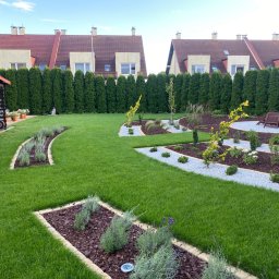 LEWERTE SPÓŁKA Z OGRANICZONĄ ODPOWIEDZIALNOŚCIĄ - Zadbany ogród z równo przystrzyżonym trawnikiem, ozdobnymi rabatami z kamykami, korą i roślinami. W tle rząd wysokich tuj i zabudowa szeregowa.