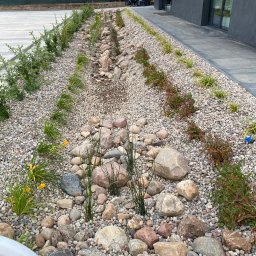 LEWERTE SPÓŁKA Z OGRANICZONĄ ODPOWIEDZIALNOŚCIĄ - Ogród z kamieniami i roślinami ozdobnymi wzdłuż nowoczesnego domu. Widoczne różne gatunki roślin i kamieni, tworzące estetyczną aranżację.