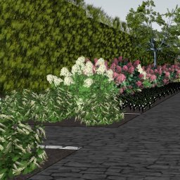 LEWERTE SPÓŁKA Z OGRANICZONĄ ODPOWIEDZIALNOŚCIĄ - Wizualizacja ogrodu z kwitnącymi hortensjami w odcieniach bieli i różu, ścieżką z kostki i wysokim żywopłotem w tle. Projekt ogrodu z elementami małej architektury.