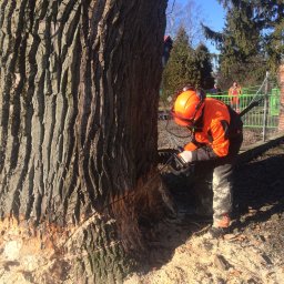 LEWERTE SP&Oacute;ŁKA Z OGRANICZONĄ ODPOWIEDZIALNOŚCIĄ - Układanie kostki granitowej Gdańsk