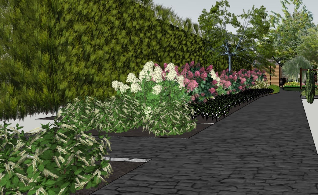 Wizualizacja ogrodu z kwitnącymi hortensjami w odcieniach bieli i różu, ścieżką z kostki i wysokim żywopłotem w tle. Projekt ogrodu z elementami małej architektury.