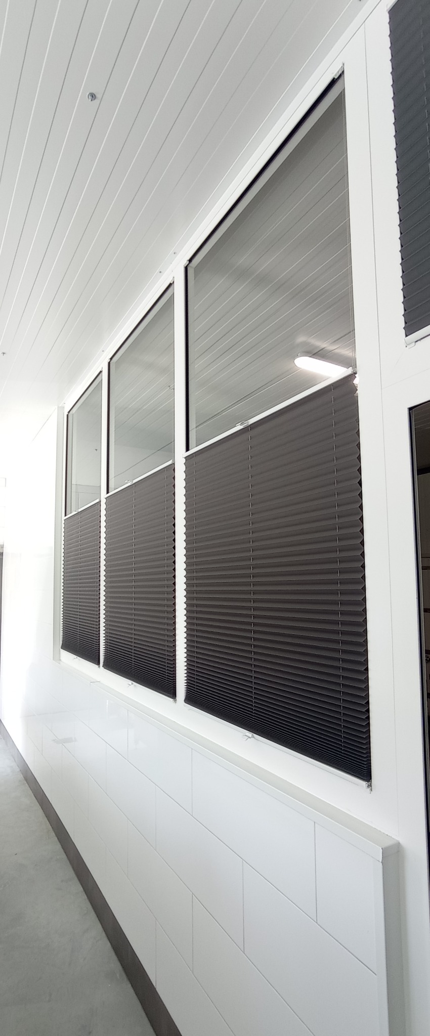 Ciemnoszare, plisowane osłony okienne zamontowane w biurowym wnętrzu z białymi ścianami i sufitem panelowym.