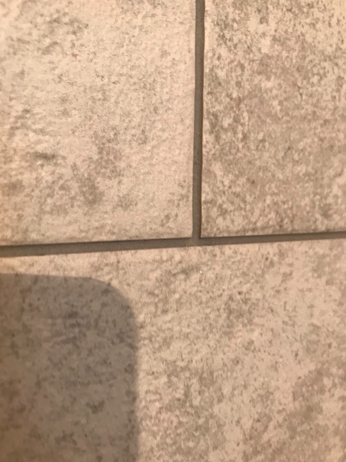 Zbliżenie na beżowe, matowe płytki podłogowe z szarą fugą, częściowo zacienione.