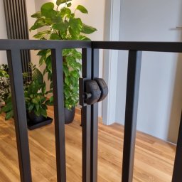 F-tech - Ciemna, metalowa barierka ochronna z zamkiem zabezpieczającym, widoczna na tle parkietu i roślin doniczkowych w nowoczesnym wnętrzu.