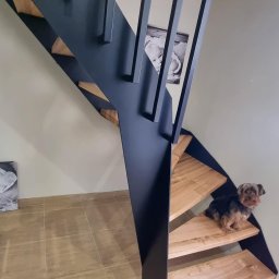 F-tech - Nowoczesne schody metalowe z drewnianymi stopniami, czarna konstrukcja, na stopniu siedzi mały pies rasy Yorkshire Terrier, na ścianie wisi obrazek.