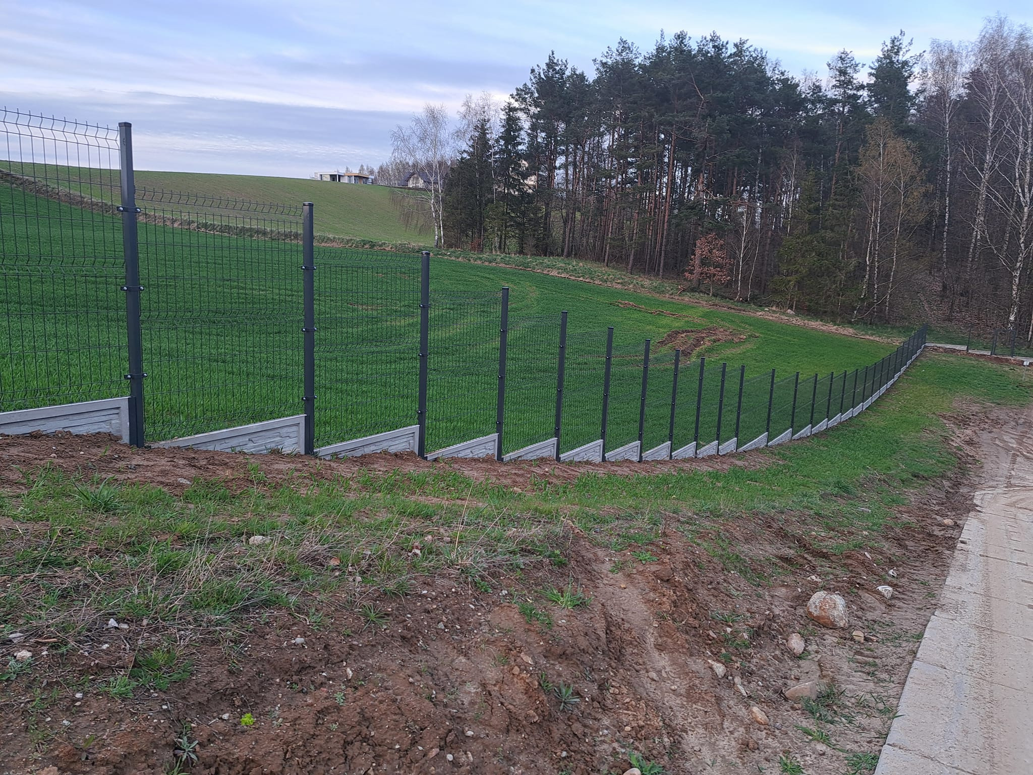 Nowo zainstalowane, ciemnoszare ogrodzenie panelowe z betonową podmurówką, biegnące wzdłuż zielonego pola w kierunku lasu, widoczne z boku, z nierównym terenem w pierwszym planie.