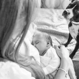 Czarno-białe zdjęcie śpiącego noworodka w ramionach kobiety, z psem rasy pitbull w tle, siedzącym na łóżku z wzorem w zygzaki.