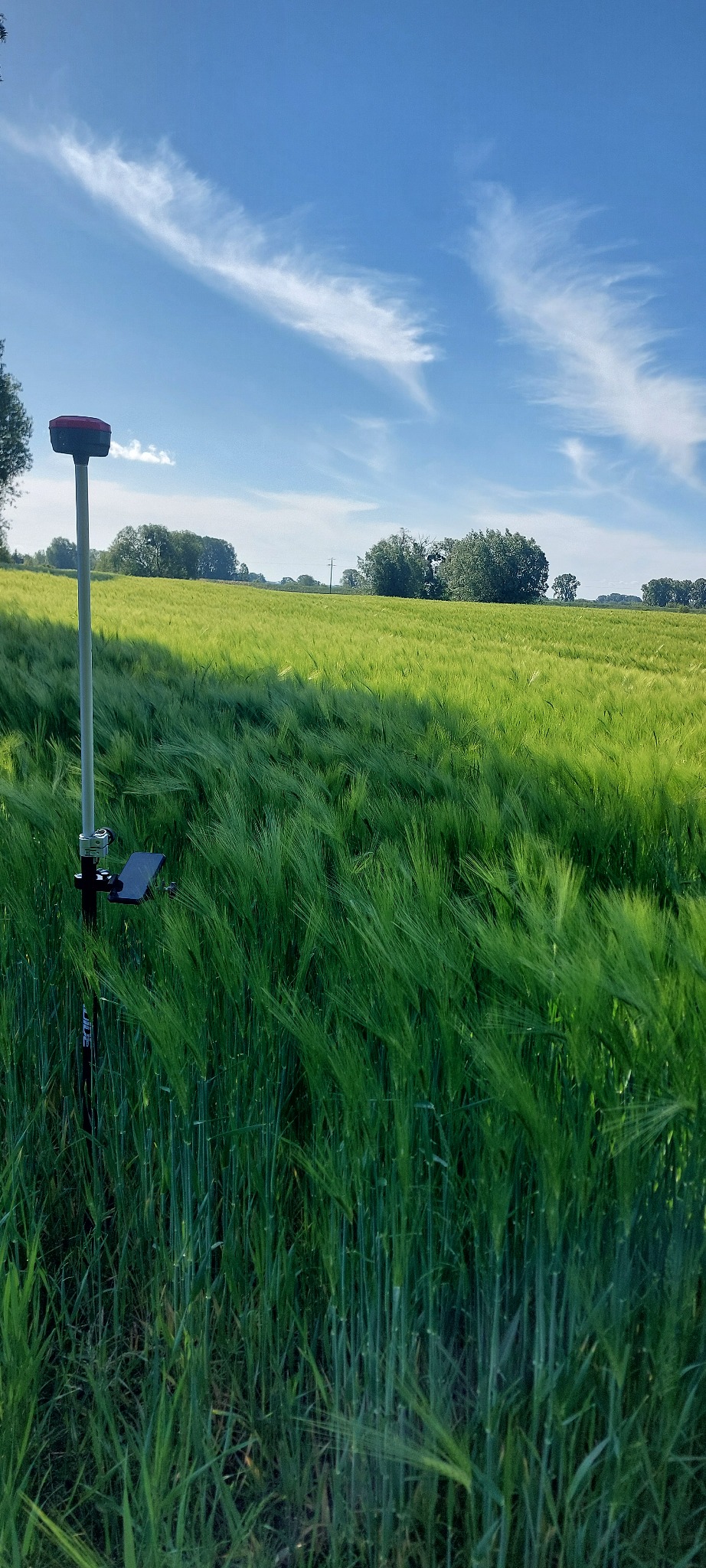 Profesjonalny sprzęt pomiarowy w zielonym polu zboża pod błękitnym niebem. Praca w terenie, dokładność i nowoczesna technologia pomiarowa.