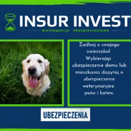 Grafika reklamowa multiagencji ubezpieczeniowej Insur Invest z psem rasy golden retriever na tle zielonej trawy, promująca ubezpieczenia dom&oacute;w i mieszkań z opcją ubezpieczenia weterynaryjnego.