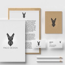 Logotyp i identyfikacja Paco Design