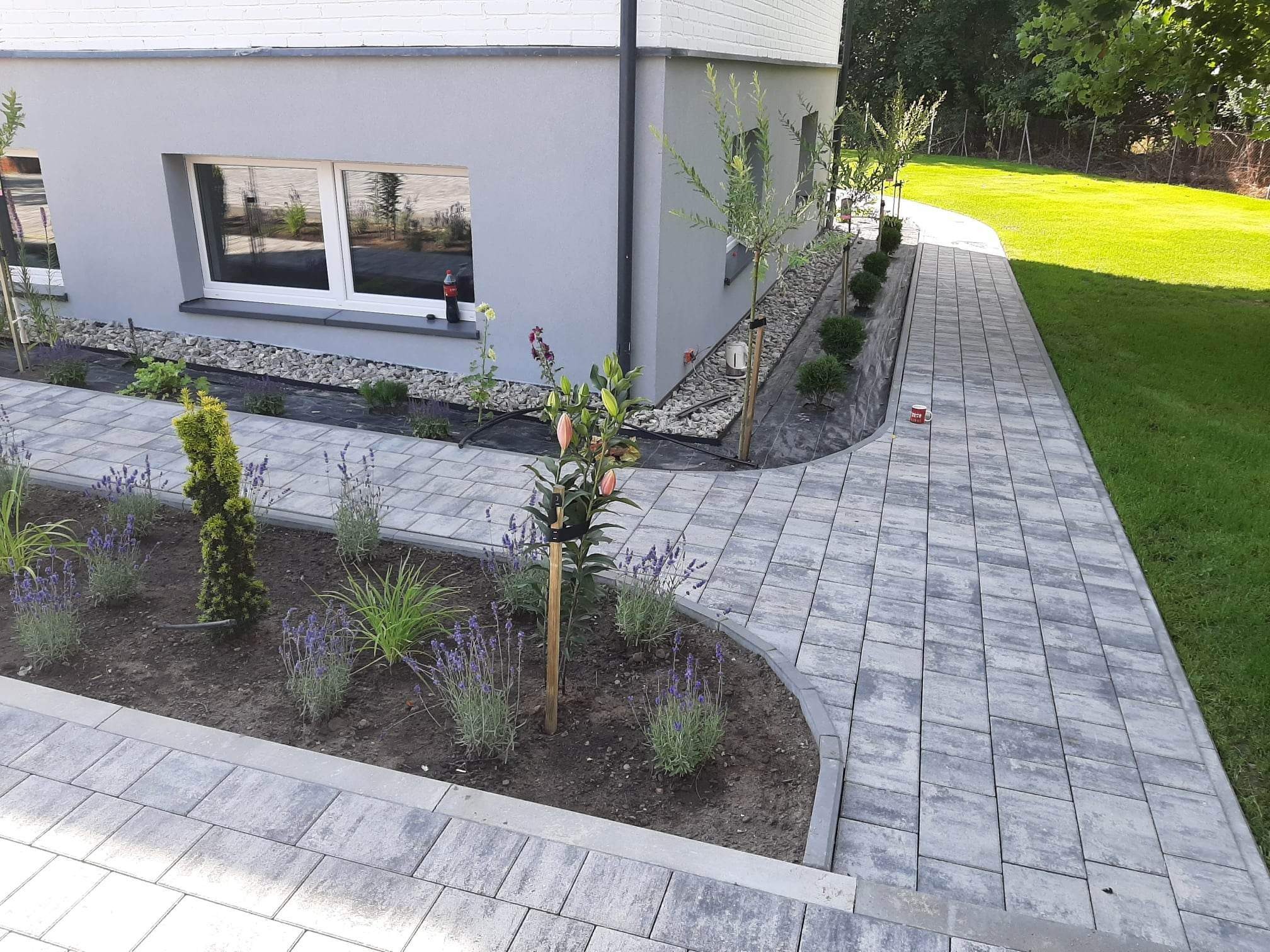 Szara kostka brukowa ułożona wzdłuż domu z rabatami kwiatowymi, widoczna coca-cola na parapecie okna piwnicznego