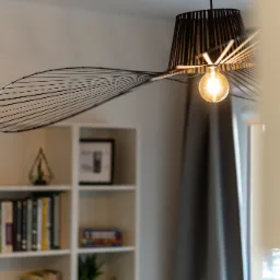 Nowoczesna lampa wisząca z czarnym, ażurowym kloszem i dekoracyjnym elementem z cienkich prętów, oświetlająca wnętrze z białym regałem na książki w tle.