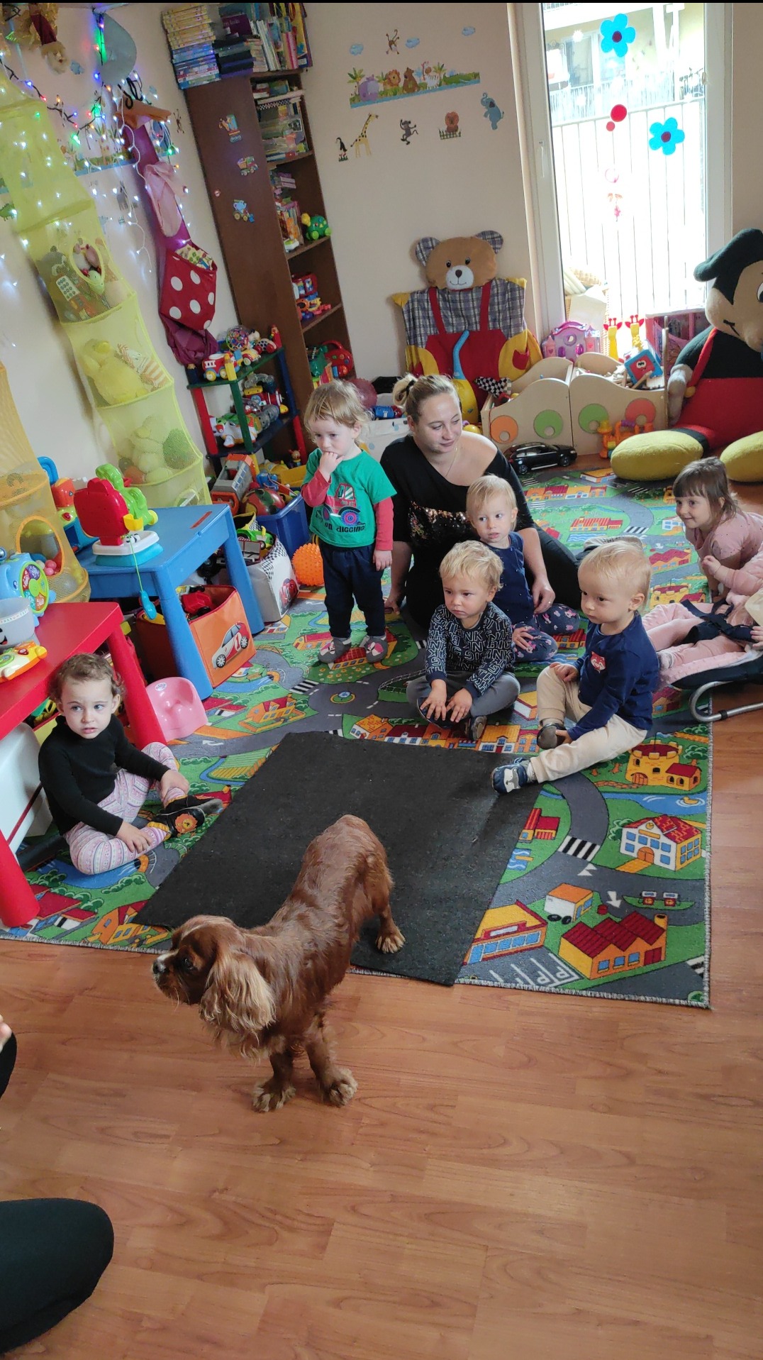 Grupa dzieci siedzi na kolorowym dywanie w żłobku, a w tle widać opiekunkę i liczne zabawki, z przodu pies rasy Cavalier King Charles Spaniel.