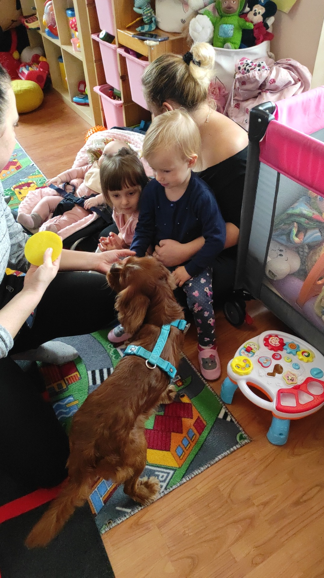 Dzieci i dorosły głaszczą rudego psa w niebieskiej uprzęży, na dywanie z motywem ulic, w tle zabawki i łóżeczko turystyczne.