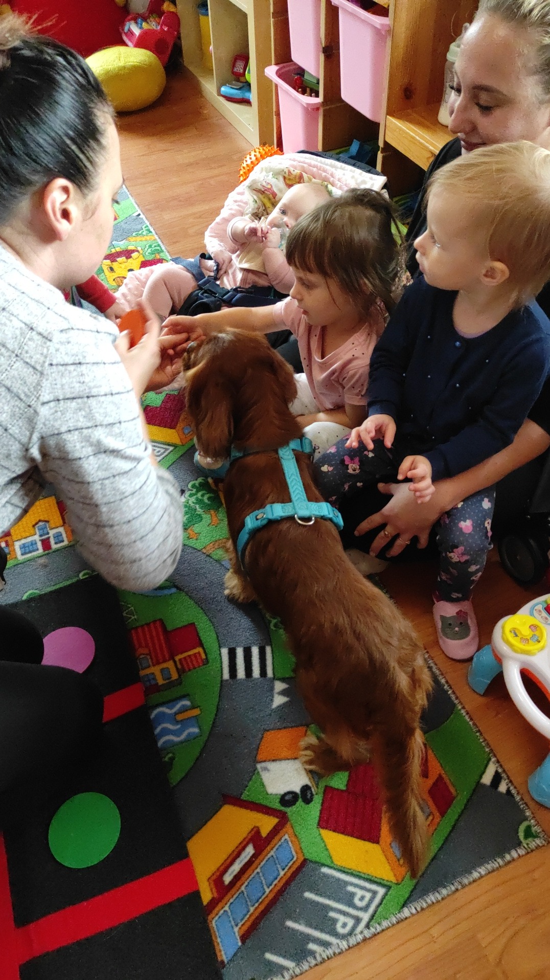 Wnętrze żłobka: Nauczycielka i dzieci siedzą na dywanie z motywem miasteczka, obok nich pies rasy jamnik w niebieskiej uprzęży.