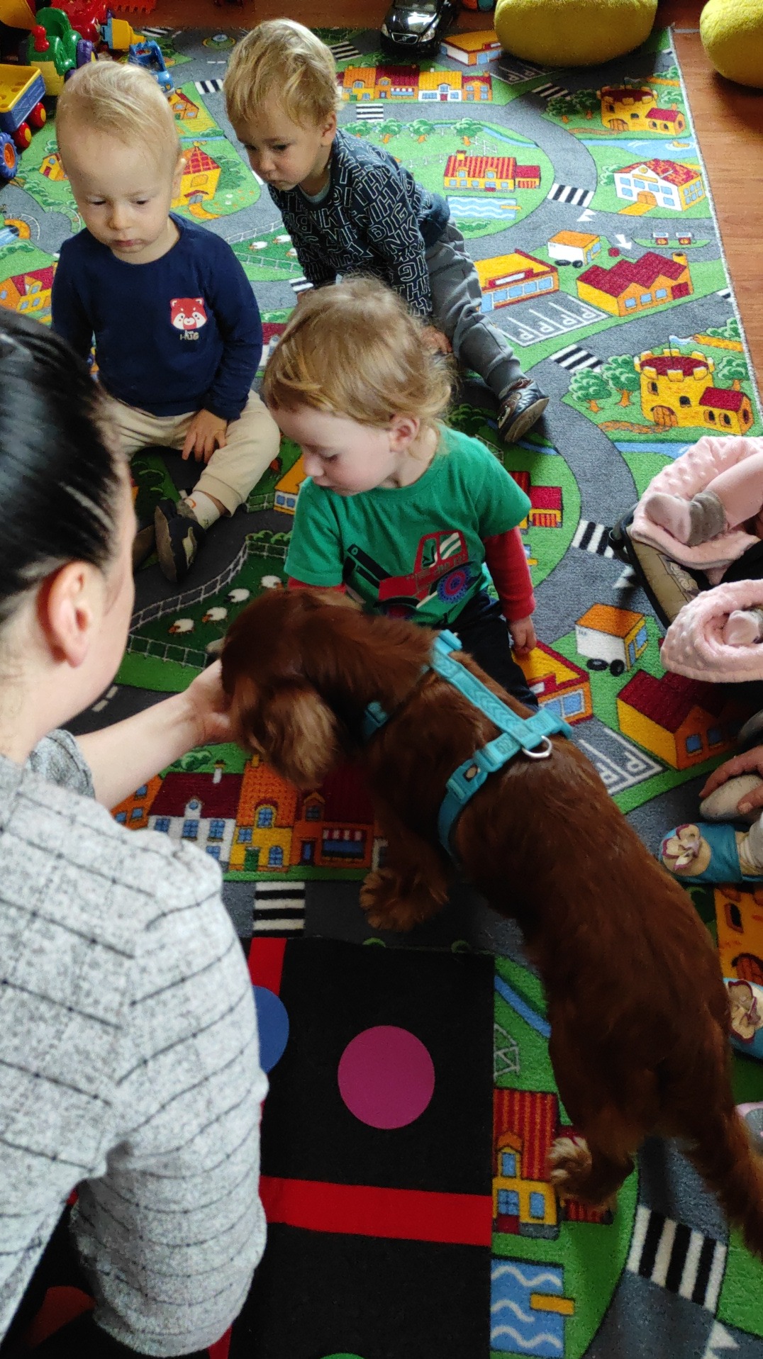 Troje małych dzieci obserwuje rudego spaniela w niebieskiej uprzęży, stojącego na dywanie z motywem miasteczka, podczas gdy dorosła osoba głaszcze psa.