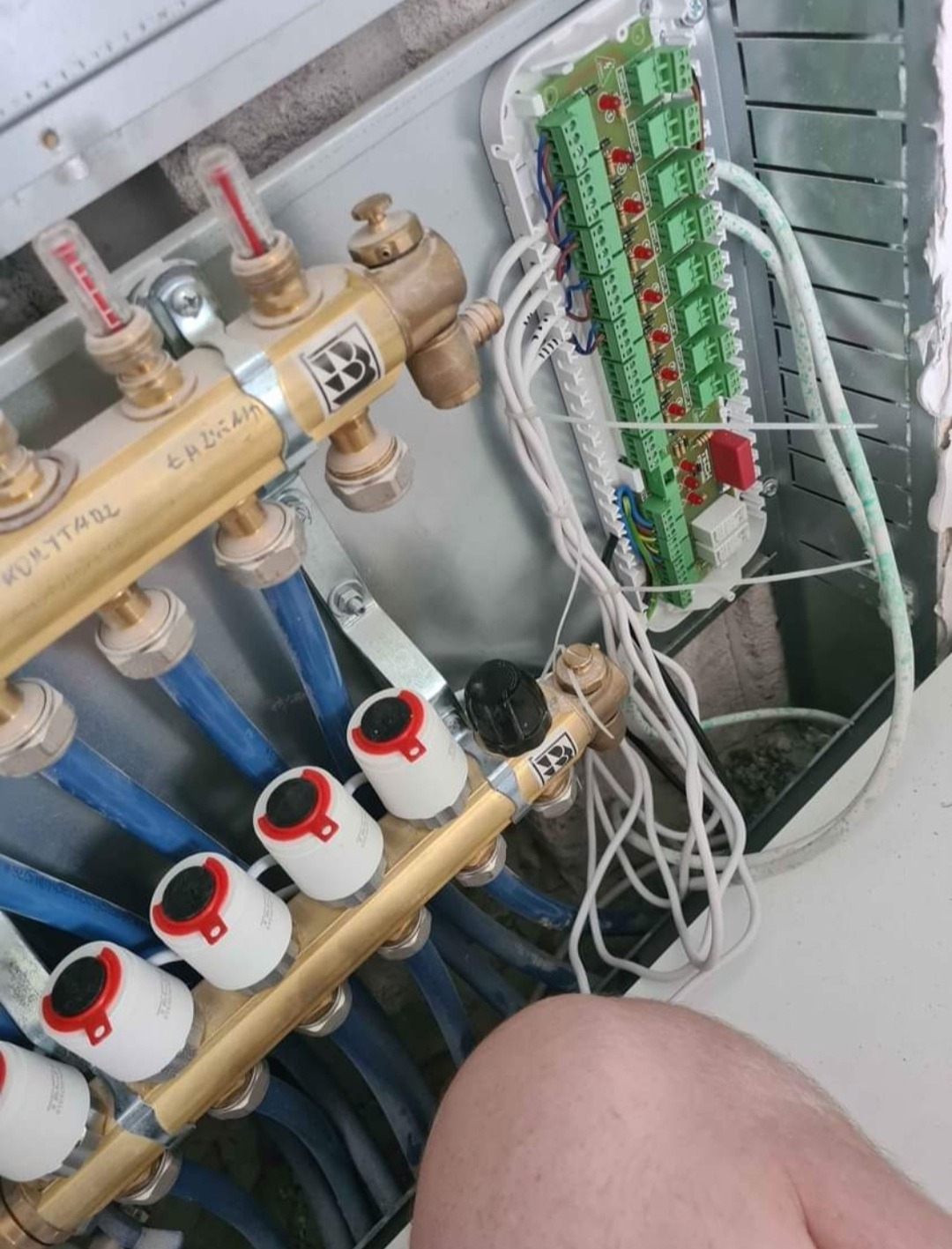 Rozdzielacz ogrzewania podłogowego z widocznymi zaworami termostatycznymi, rurami w kolorze niebieskim oraz modułem sterującym z zielonymi złączkami i białymi przewodami.