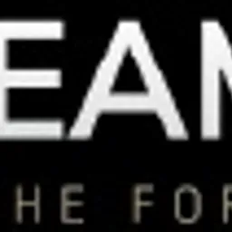 Logo firmy Steamforce z motywem skrzydeł i hasłem 'Feel the force of detailing' na czarnym tle.