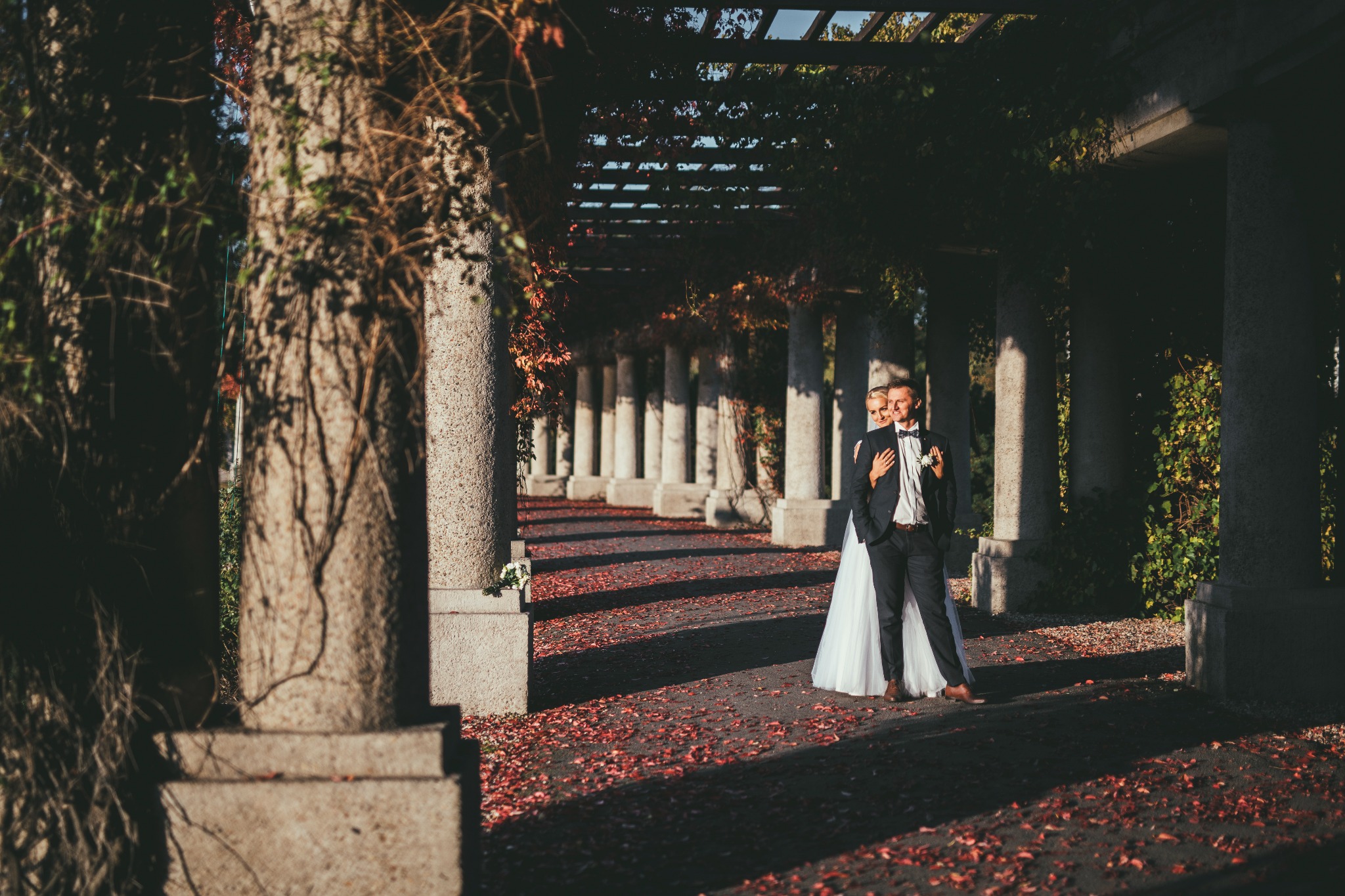 Para młoda w objęciach pod pergolą porośniętą bluszczem, ziemia usłana opadłymi liśćmi.