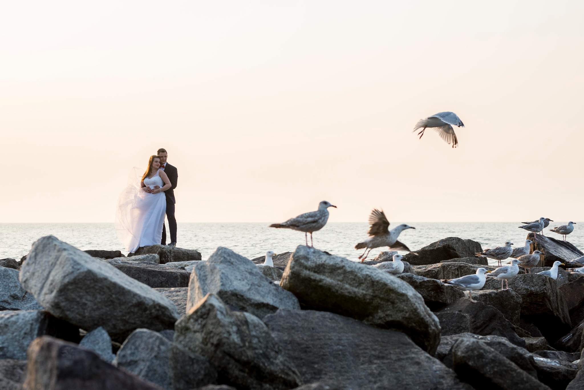 Para młoda stoi na skalistym nabrzeżu, otoczona przez mewy w locie i siedzące na kamieniach, w tle rozświetlone słońcem niebo.