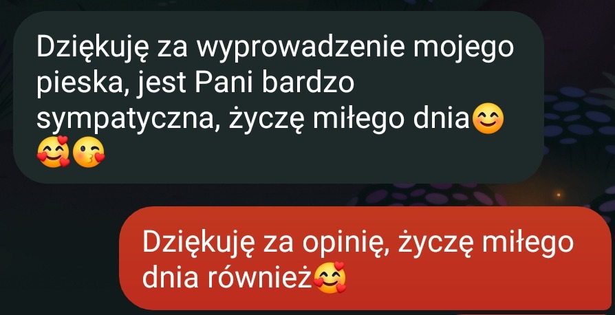 Zrzut ekranu konwersacji SMS z podziękowaniem za wyprowadzenie psa i pozytywną opinią o usłudze, zawierający emotikony.