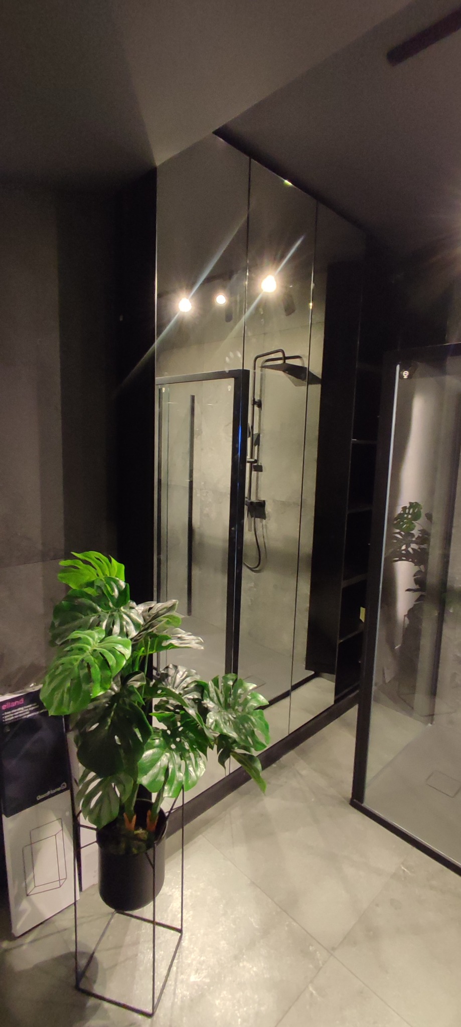 Nowoczesna kabina prysznicowa z czarnymi ramami, szklanymi ścianami i deszczownicą, uzupełniona dekoracyjną rośliną Monstera w czarnej donicy na metalowym stojaku.