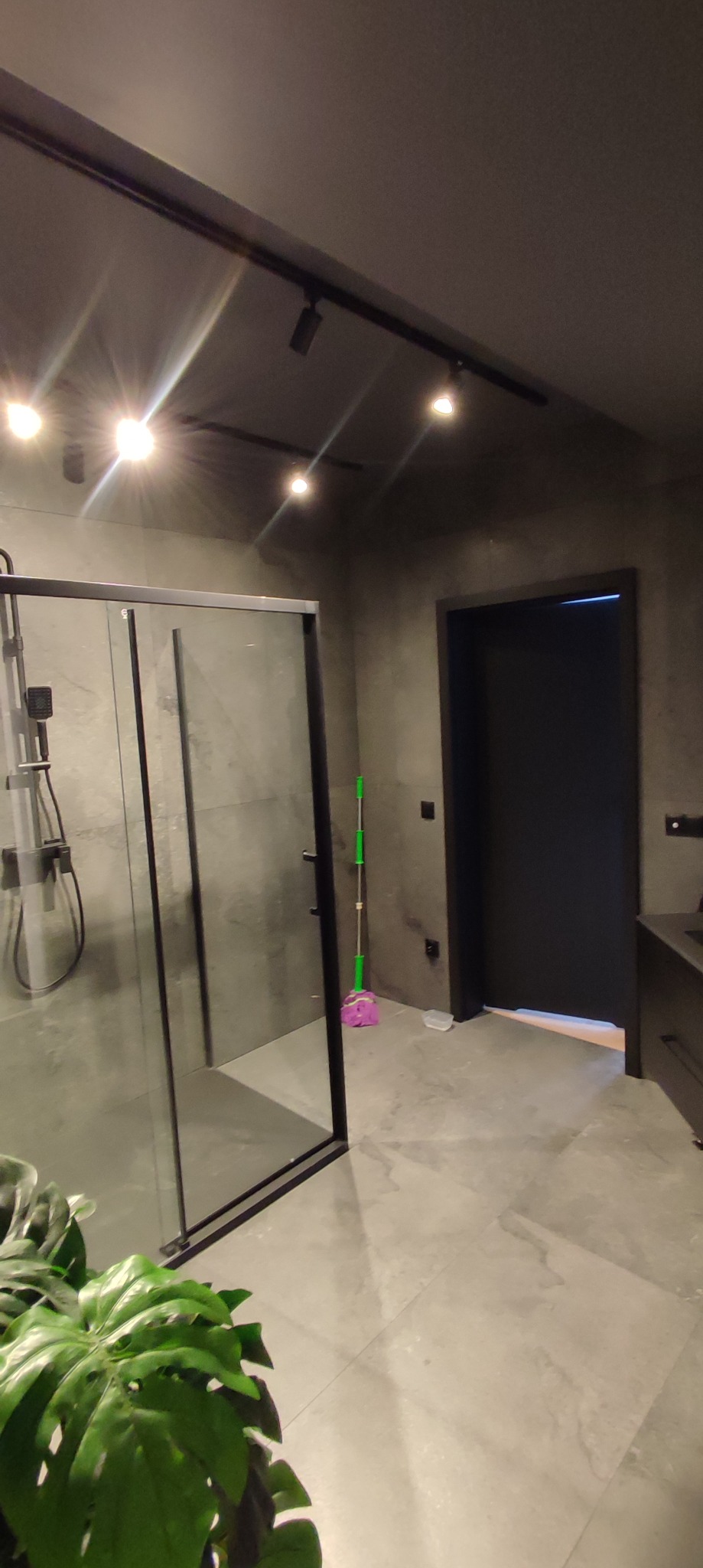 Nowoczesna łazienka z szarą kabiną prysznicową typu walk-in, oświetleniem punktowym na suficie i ciemnymi drzwiami, uzupełniona o mop z fioletową końcówką i roślinę doniczkową w rogu.