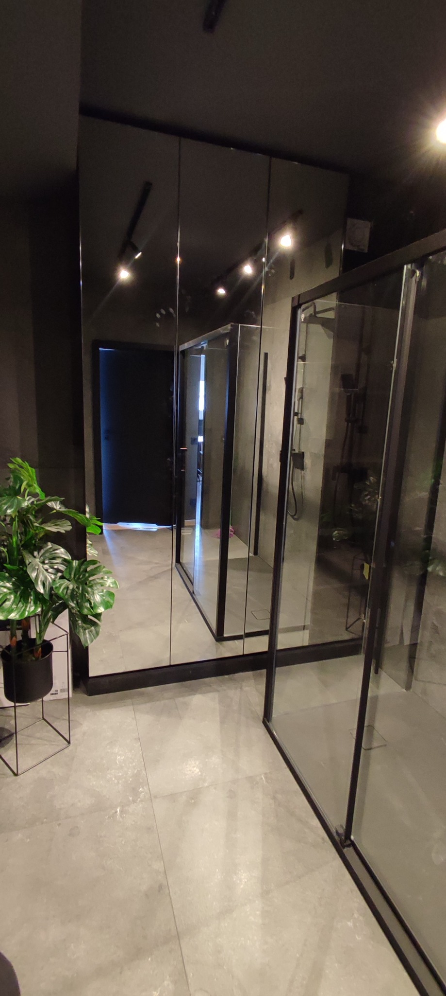 Nowoczesna łazienka w ciemnych tonacjach z kabiną prysznicową typu walk-in, lustrzaną ścianą i rośliną doniczkową na minimalistycznym stojaku.
