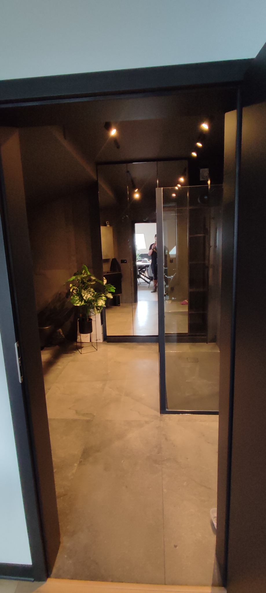 Nowoczesne wnętrze z ciemnymi ścianami, betonową podłogą i szklanymi drzwiami przesuwnymi, oświetlone punktowymi lampami, z rośliną doniczkową w geometrycznym stojaku.