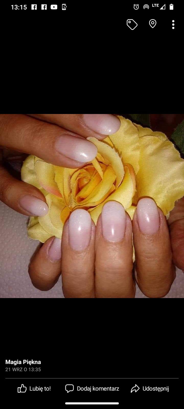 Dłonie prezentują subtelny, ombre manicure w odcieniach bieli i różu, na tle rozkwitającego, żółtego kwiatu.