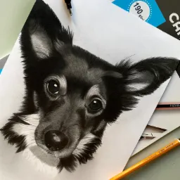 Szkic ołówkiem przedstawiający portret psa rasy Chihuahua z długimi uszami, leżący na arkuszu papieru obok ołówków i kartki z gramaturą 190 g/m2.