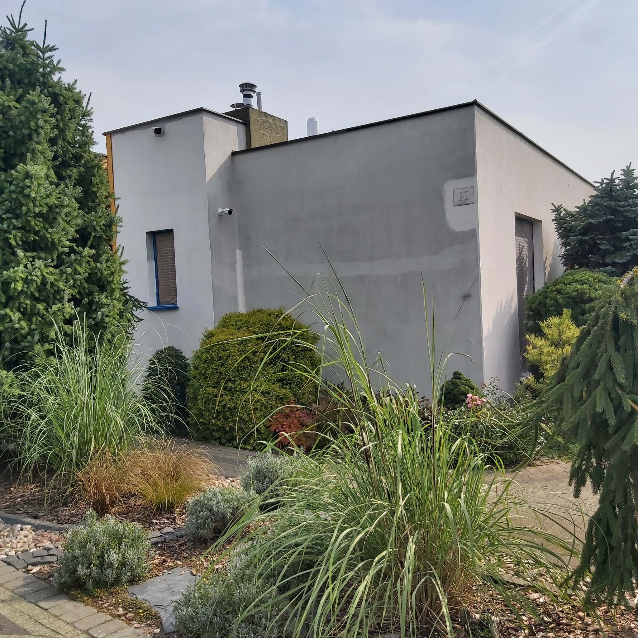 Nowoczesny, jednopiętrowy dom z szarego tynku otoczony ozdobną zielenią, w tym trawami ozdobnymi i iglakami, z widocznymi kamerami monitoringu.