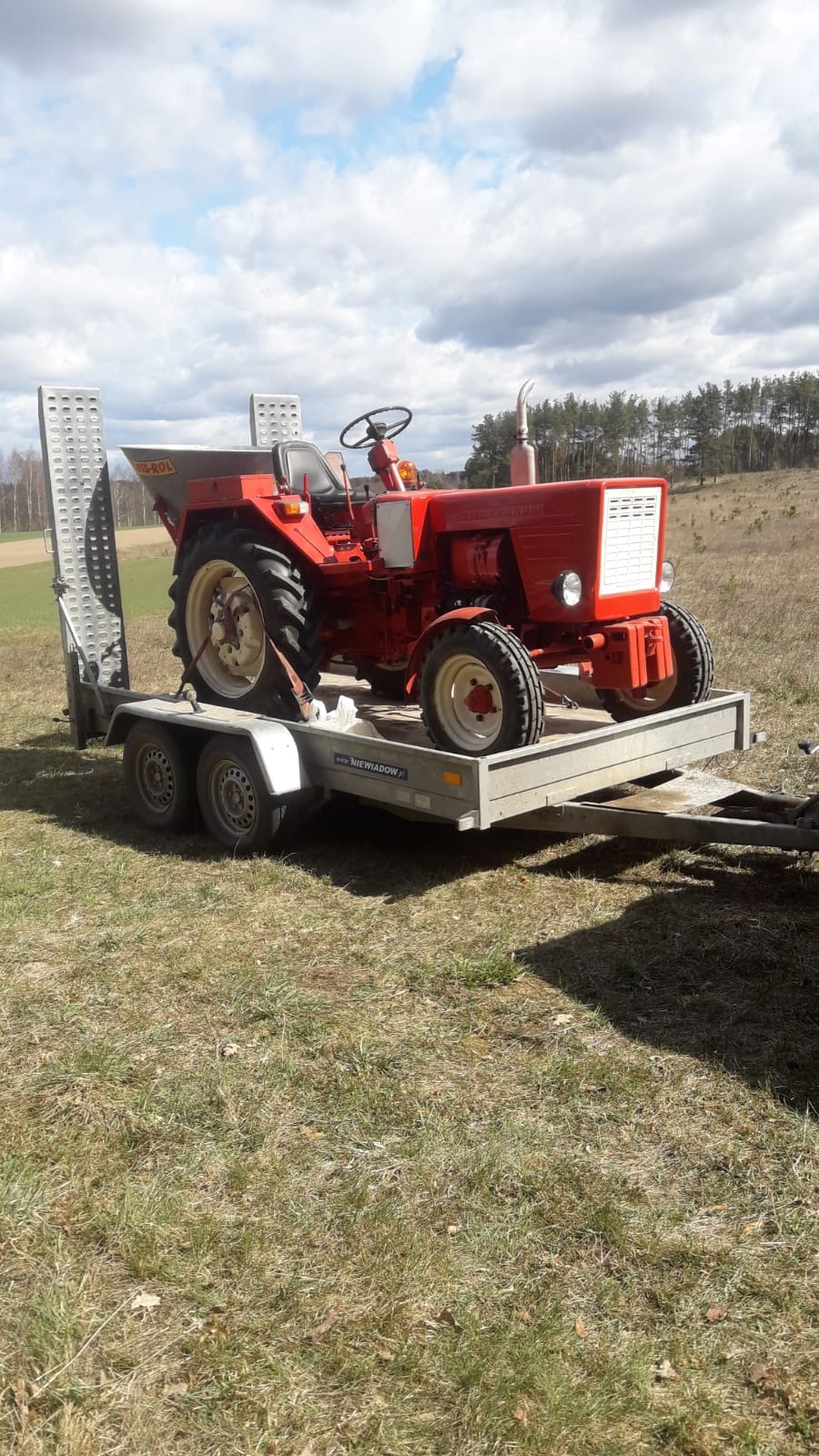 Czerwony traktor na szarej przyczepie transportowej marki Niewiadów, zaparkowany na trawiastym terenie z drzewami w tle, pod pochmurnym niebem.