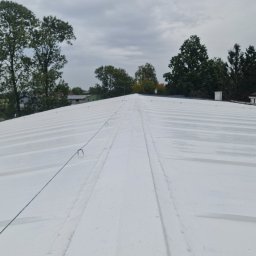 karmarRemonty Marcin Pański - Biały, pomalowany dach z blachy trapezowej z zamontowaną linią odgromową, widoczny z góry, otoczony zielenią drzew i pochmurnym niebem.