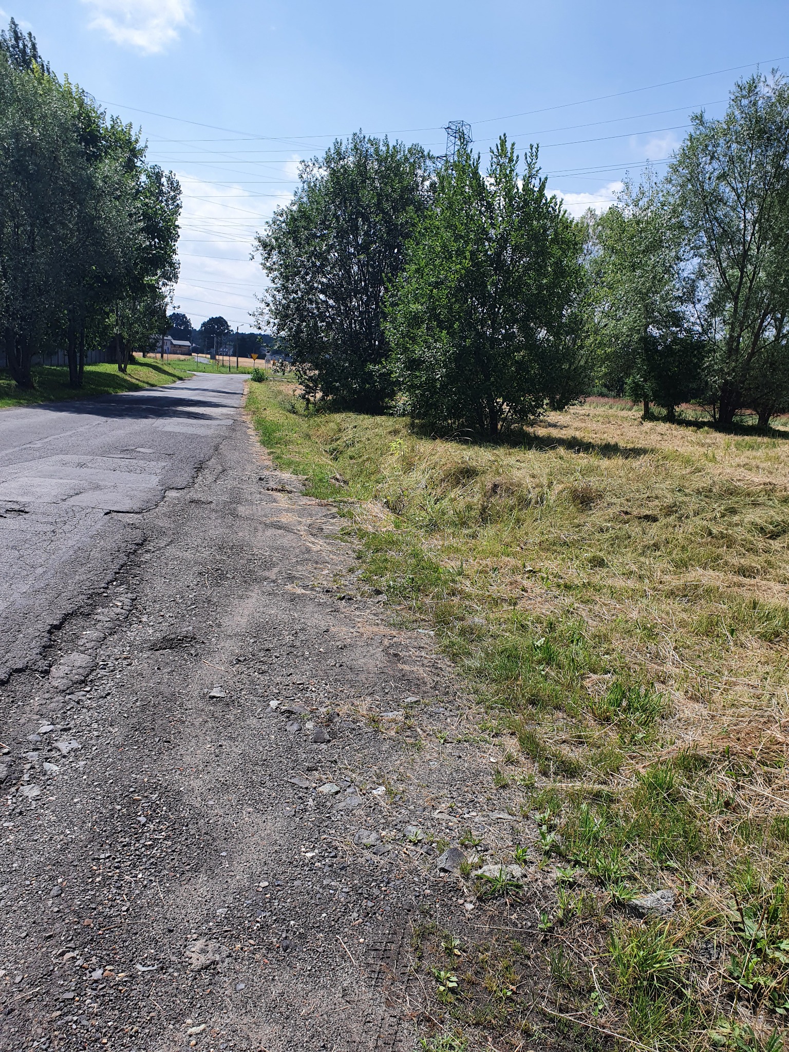 Fragment drogi asfaltowej z widocznymi uszkodzeniami, obok świeżo skoszone pole trawy, drzewa w tle, słoneczny dzień.