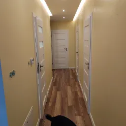 Korytarz z panelami podłogowymi imitującymi drewno, oświetleniem LED w suficie i białymi drzwiami. Na ścianie widoczne puszki elektryczne bez osprzętu oraz fragment sylwetki psa w dolnej części kadru.