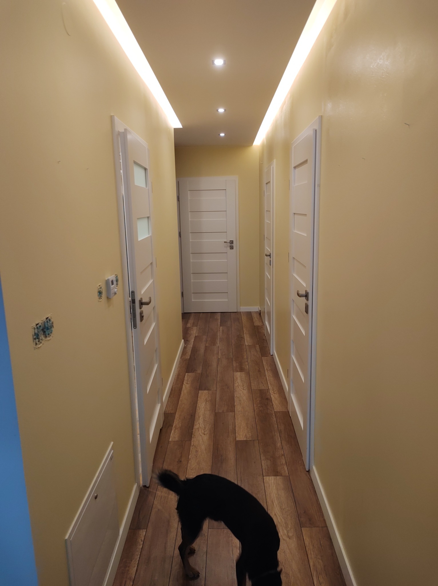 Korytarz z panelami podłogowymi imitującymi drewno, oświetleniem LED w suficie i białymi drzwiami. Na ścianie widoczne puszki elektryczne bez osprzętu oraz fragment sylwetki psa w dolnej części kadru.