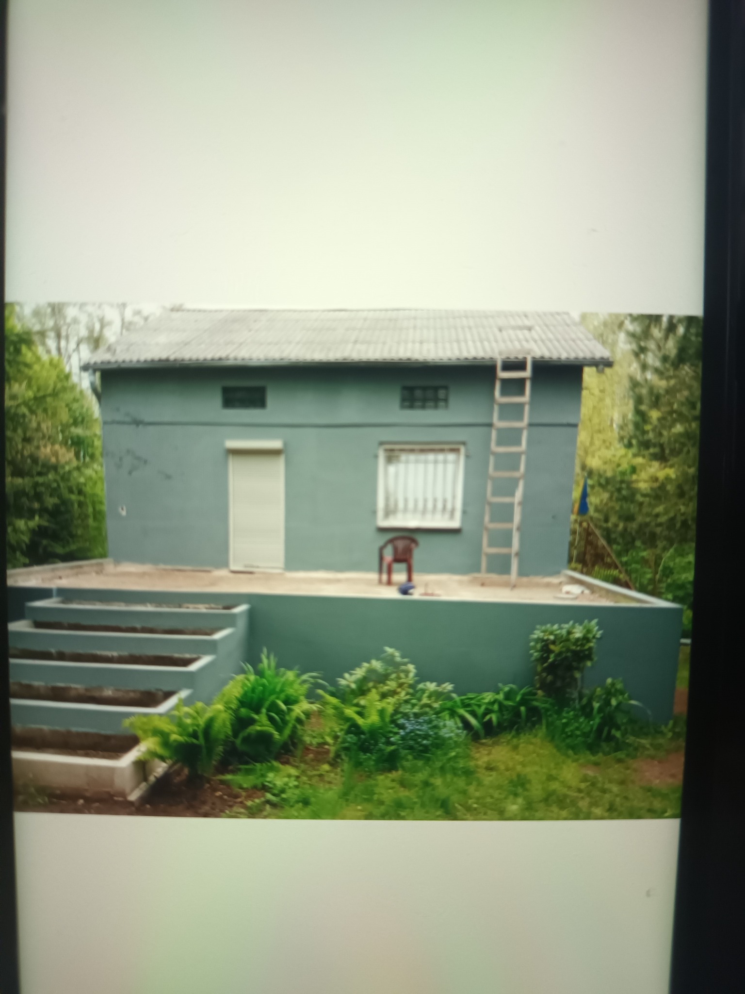 Szary budynek gospodarczy z drabiną opartą o ścianę, widok z poziomu gruntu na tle zieleni.