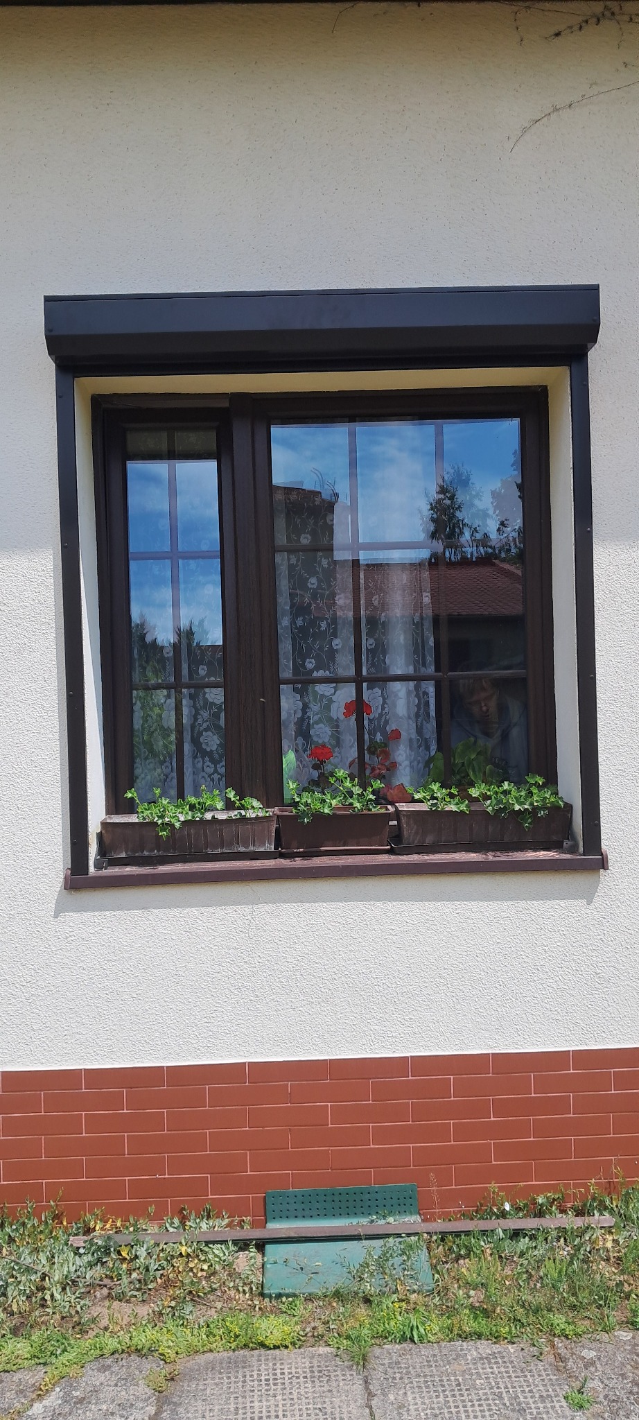 Brązowe okno PCV z czarną roletą zewnętrzną częściowo opuszczoną. Na parapecie doniczki z kwiatami. W szybie odbija się niebo i budynki.