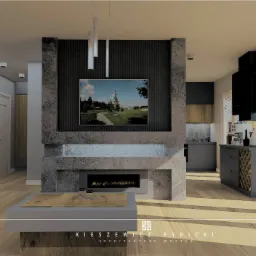 projekt segmentu - salon