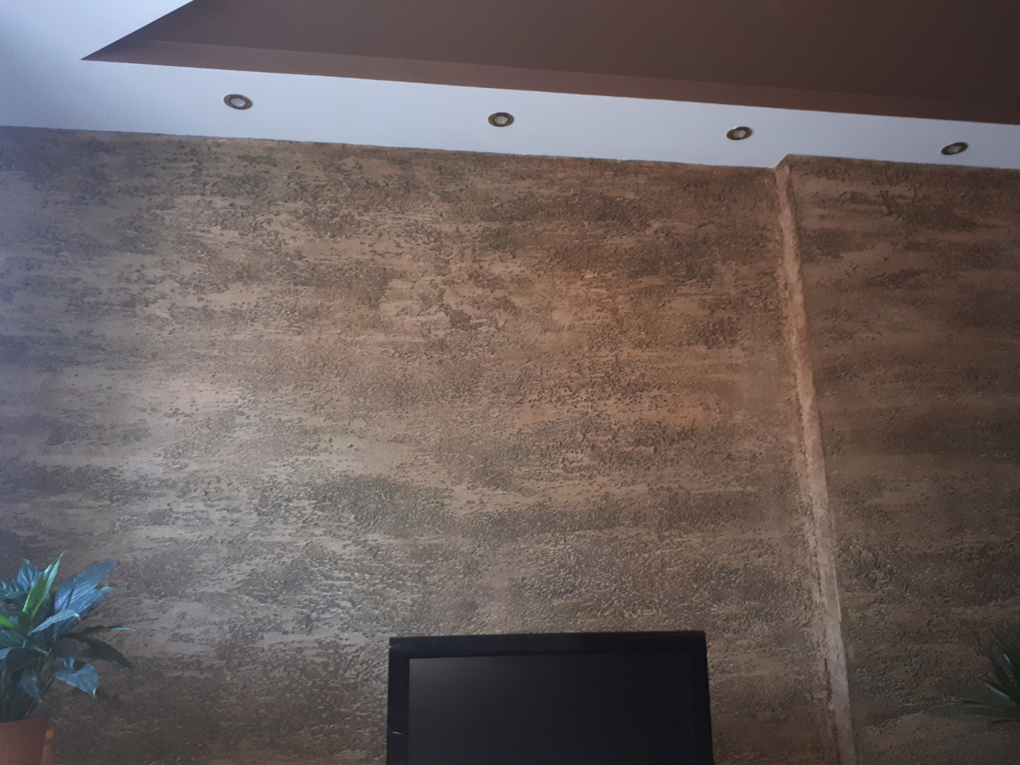 Teksturowana ściana w odcieniach brązu i beżu z widocznymi punktowymi lampami sufitowymi i fragmentem telewizora oraz roślinami doniczkowymi po bokach.