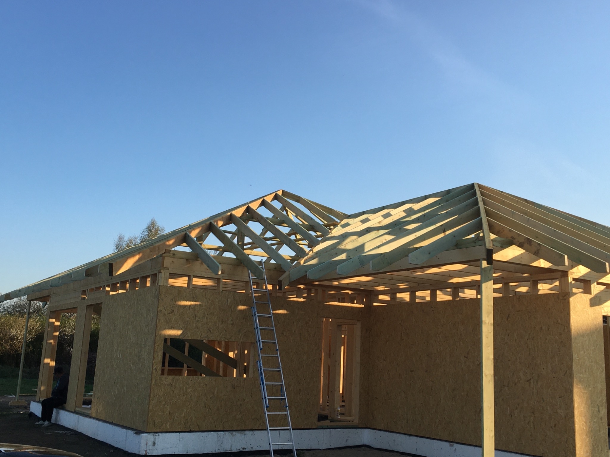 Budowa domu jednorodzinnego w stanie surowym otwartym, widoczne ściany z płyt OSB, drewniana konstrukcja dachu oraz aluminiowa drabina oparta o ścianę, błękitne niebo w tle.