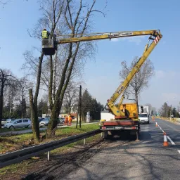 Pracownik w żółtej kamizelce na podnośniku marki Bumar Koszalin przycina gałęzie drzewa rosnącego obok drogi, zabezpieczonej barierkami i pomarańczowymi pachołkami.