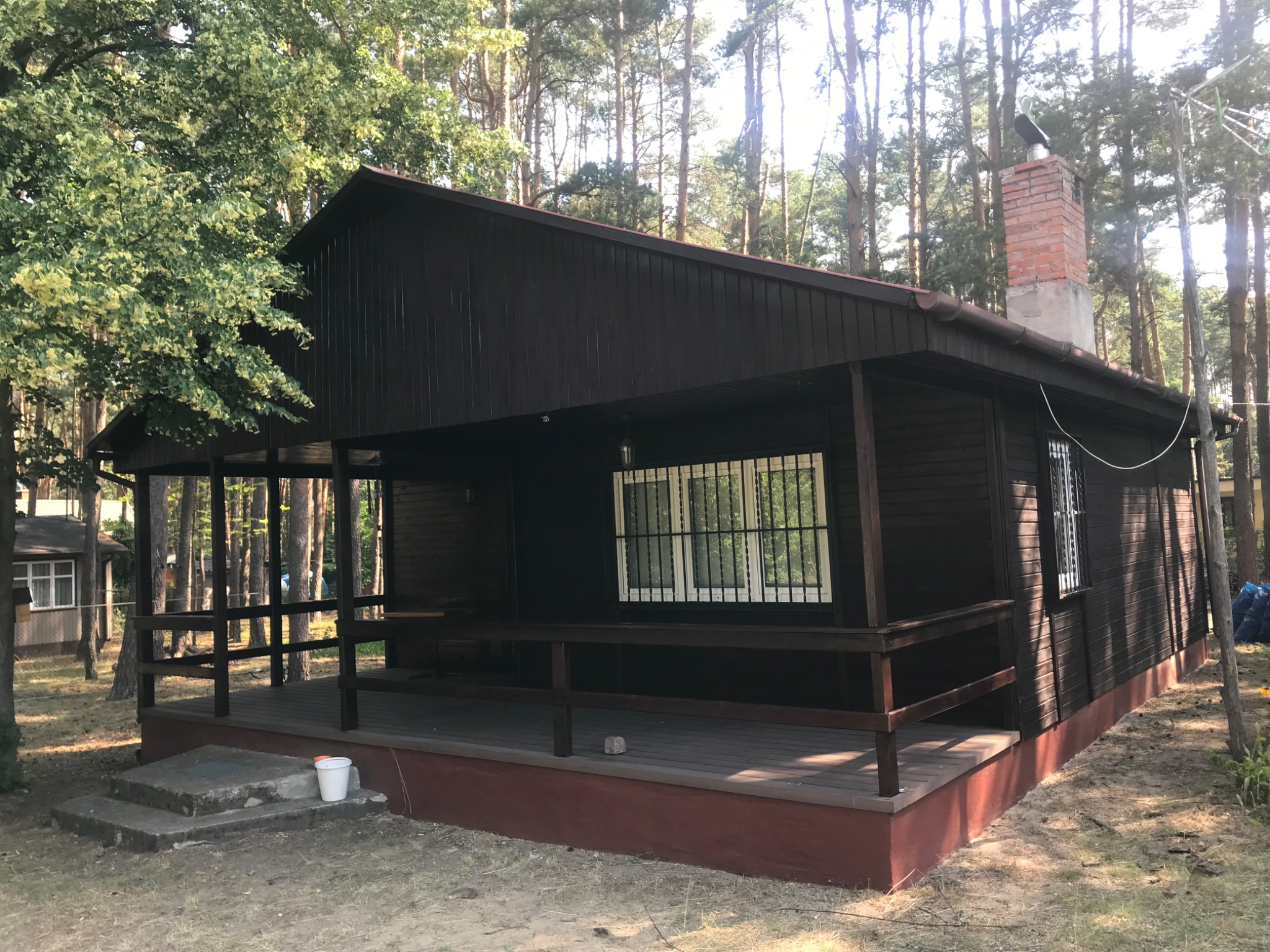 Ciemnobrązowy drewniany domek letniskowy z werandą i ceglanym kominem, otoczony sosnowym lasem w letnie popołudnie.