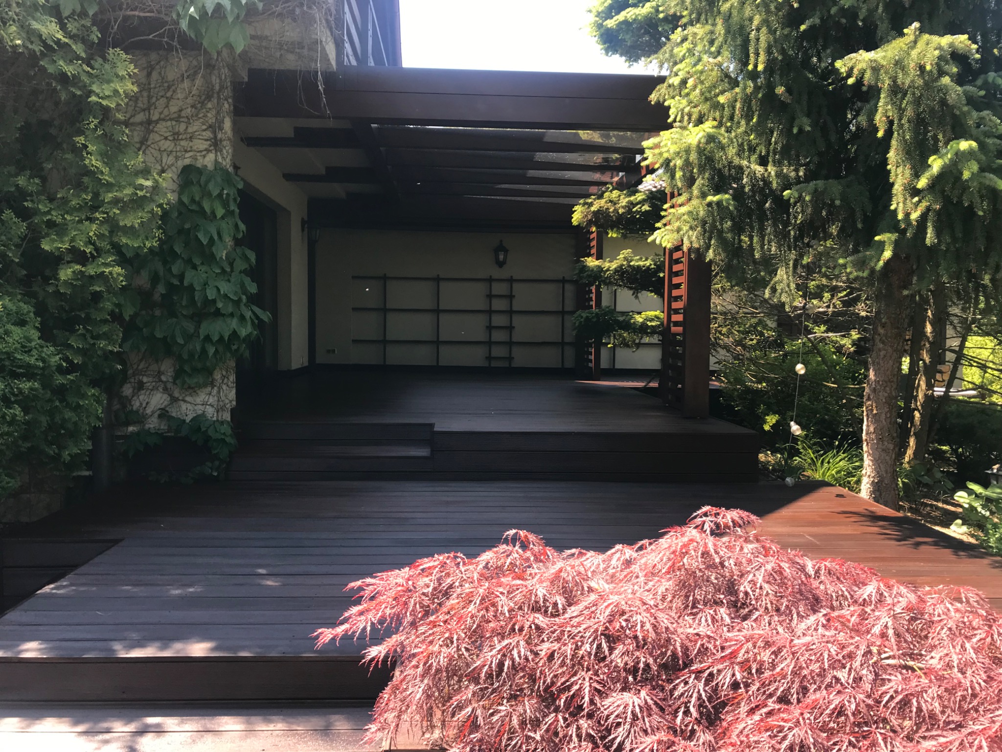 Nowoczesny taras z ciemnego drewna z zadaszeniem, otoczony zielenią, w tym japońskim klonem o czerwonych liściach.