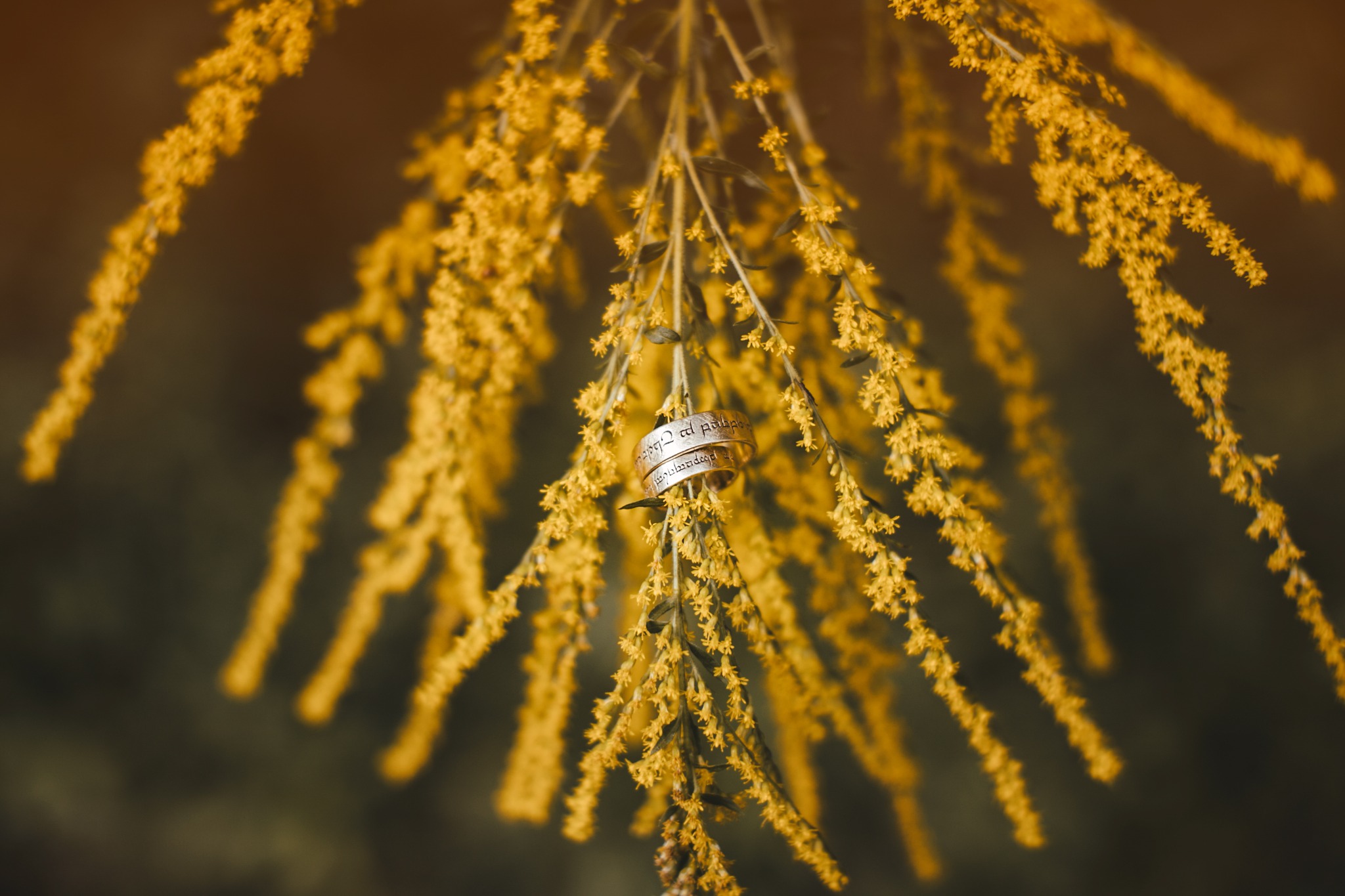 Dwa złote pierścionki z inskrypcjami zawieszone na gałązce kwitnącej, żółtej nawłoci, w tle zieleń.