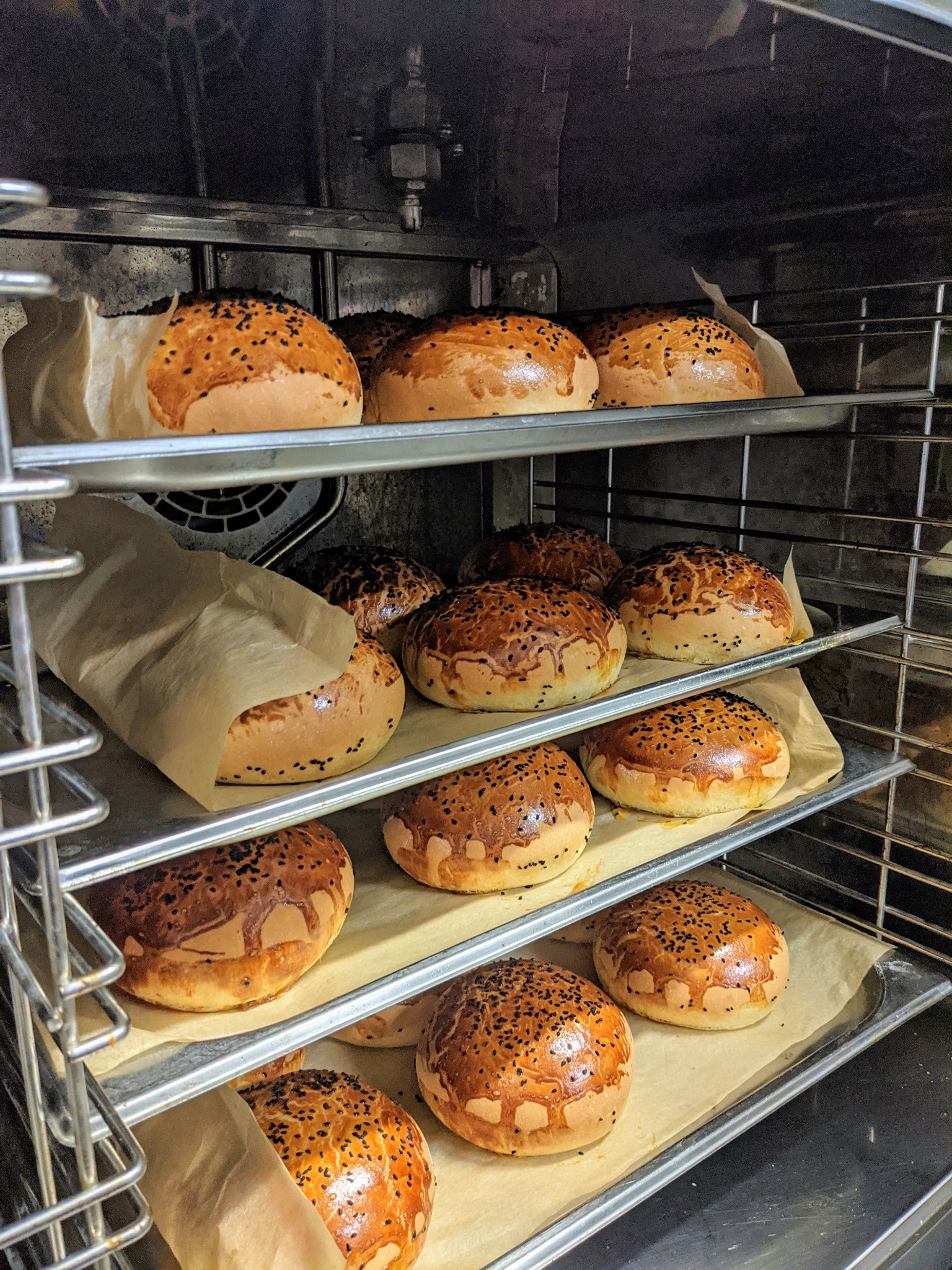 Bochenki bułek z sezamem, pieczone w piecu konwekcyjnym na blachach wyłożonych papierem do pieczenia, widoczne metalowe półki pieca.
