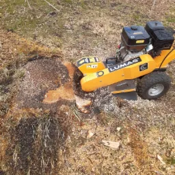 Frezarka do pni drzew marki Lumag w trakcie pracy w Kramsku, usuwająca pozostałości po wycince, z widocznymi wiórami i resztkami pnia.